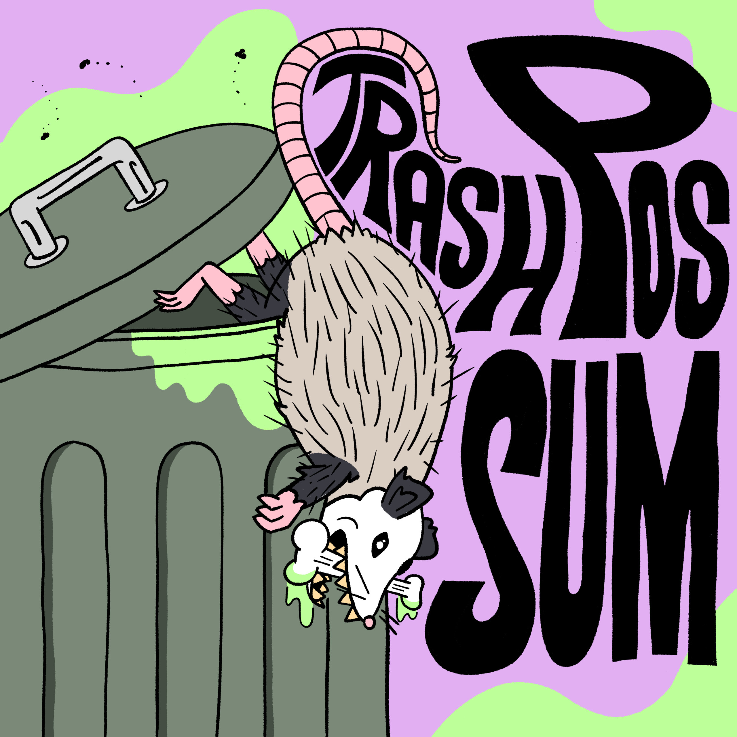 trash possum